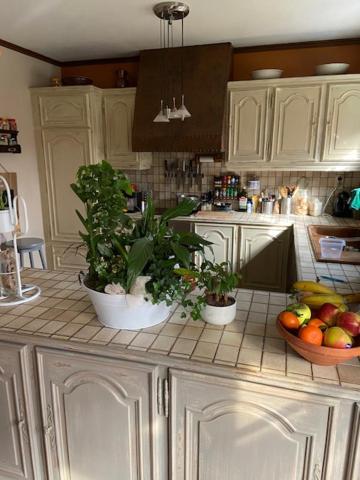Chambres Chez Nanou Avec Petit Dejeuner Chimay Ngoại thất bức ảnh